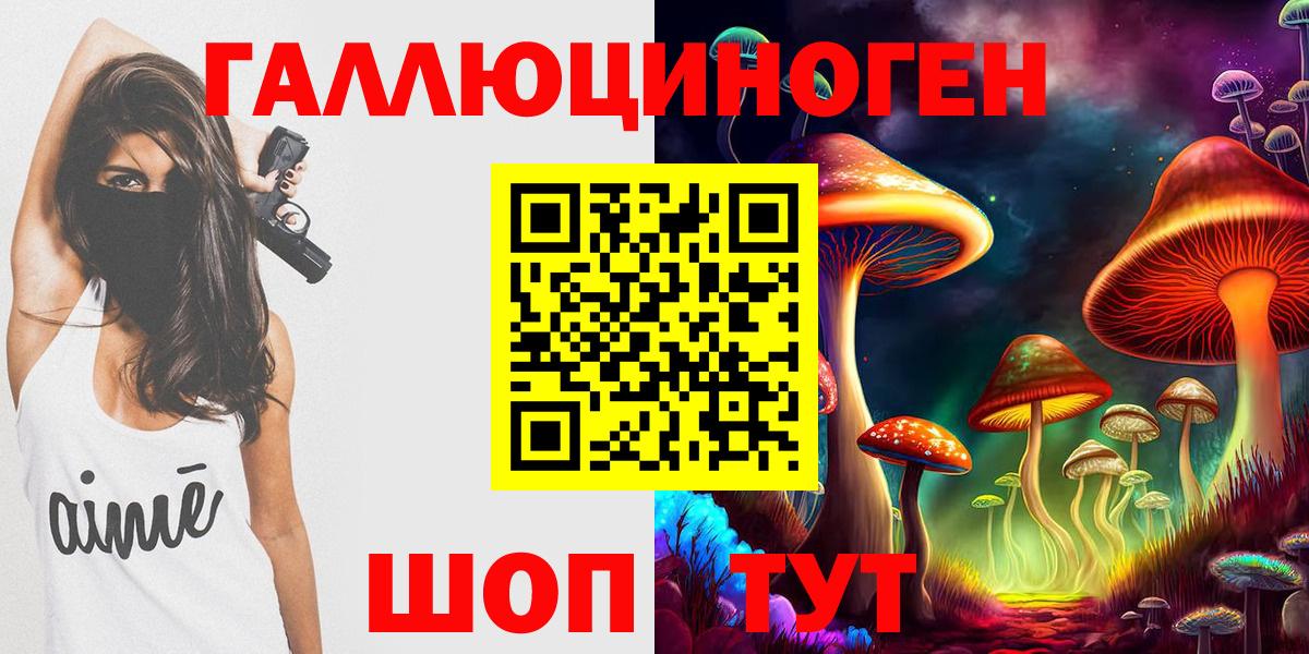 Грозный  Псилоцибиновые грибы Cubensis  Псилоцибиновые грибы Cubensis  Вход с VPN 